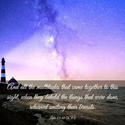Picture 03 - Luke 23:48 ASV - And all the multitudes that came together to this - Bible Verse Picture