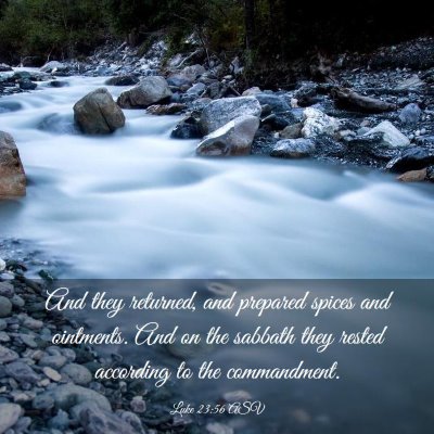 Picture 03 - Luke 23:56 ASV - And they returned, and prepared spices and - Bible Verse Picture