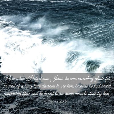Picture 03 - Luke 23:8 ASV - Now when Herod saw Jesus, he was exceeding glad: - Bible Verse Picture