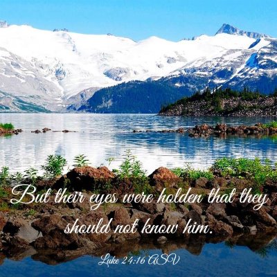 Picture 03 - Luke 24:16 ASV - But their eyes were holden that they should not - Bible Verse Picture