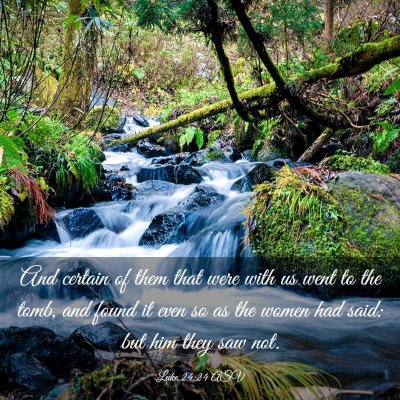 Picture 03 - Luke 24:24 ASV - And certain of them that were with us went to the - Bible Verse Picture