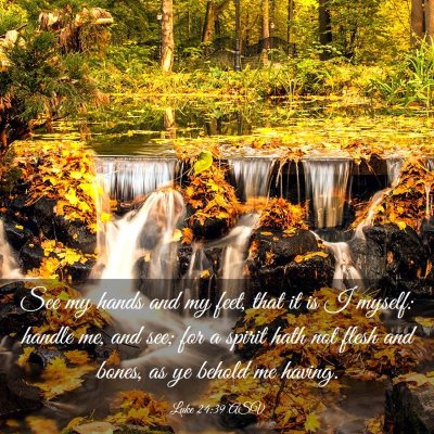 Picture 03 - Luke 24:39 ASV - See my hands and my feet, that it is I myself: - Bible Verse Picture
