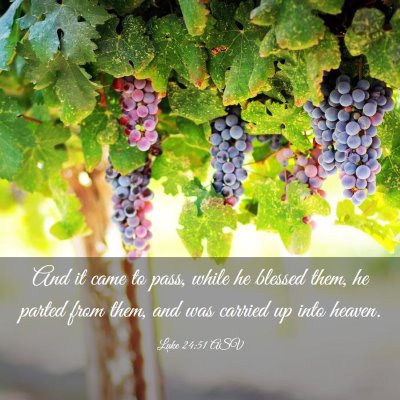 Picture 03 - Luke 24:51 ASV - And it came to pass, while he blessed them, he - Bible Verse Picture