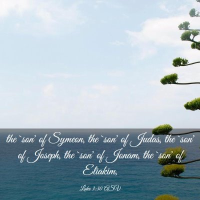 Picture 03 - Luke 3:30 ASV - the `son' of Symeon, the `son' of Judas, the - Bible Verse Picture