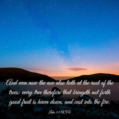 Picture 03 - Luke 3:9 ASV - And even now the axe also lieth at the root of - Bible Verse Picture