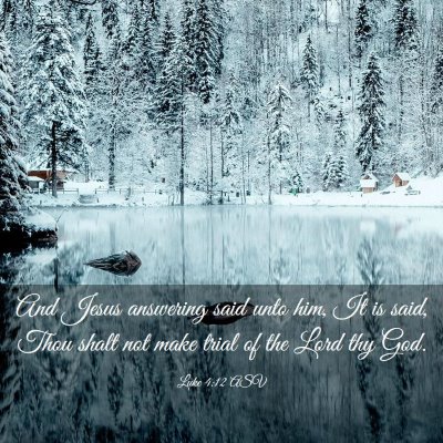 Picture 03 - Luke 4:12 ASV - And Jesus answering said unto him, It is said, - Bible Verse Picture