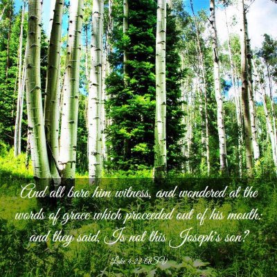 Picture 03 - Luke 4:22 ASV - And all bare him witness, and wondered at the - Bible Verse Picture