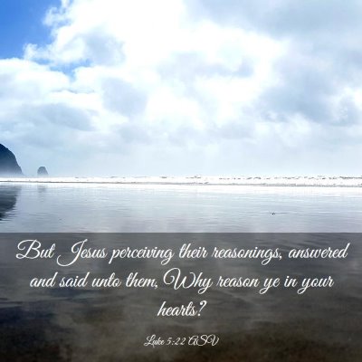Picture 03 - Luke 5:22 ASV - But Jesus perceiving their reasonings, answered - Bible Verse Picture