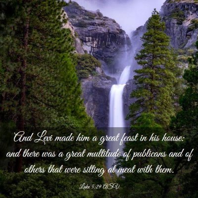 Picture 03 - Luke 5:29 ASV - And Levi made him a great feast in his house: and - Bible Verse Picture