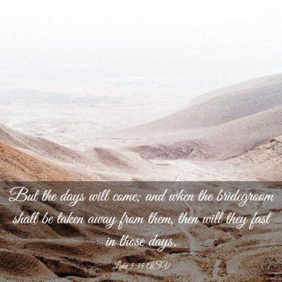 Picture 03 - Luke 5:35 ASV - But the days will come; and when the bridegroom - Bible Verse Picture