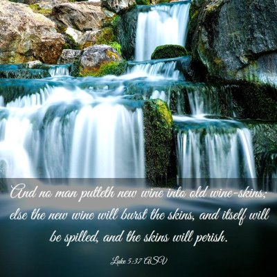 Picture 03 - Luke 5:37 ASV - And no man putteth new wine into old wine-skins; - Bible Verse Picture