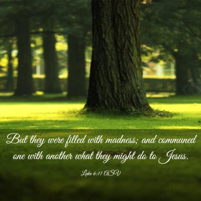 Picture 03 - Luke 6:11 ASV - But they were filled with madness; and communed - Bible Verse Picture