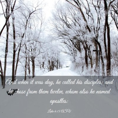 Picture 03 - Luke 6:13 ASV - And when it was day, he called his disciples; and - Bible Verse Picture