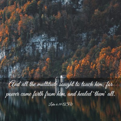 Picture 03 - Luke 6:19 ASV - And all the multitude sought to touch him; for - Bible Verse Picture