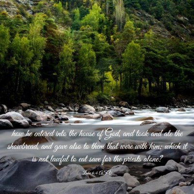 Picture 03 - Luke 6:4 ASV - how he entered into the house of God, and took - Bible Verse Picture