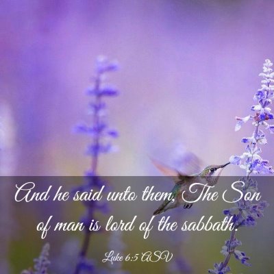 Picture 03 - Luke 6:5 ASV - And he said unto them, The Son of man is lord of - Bible Verse Picture
