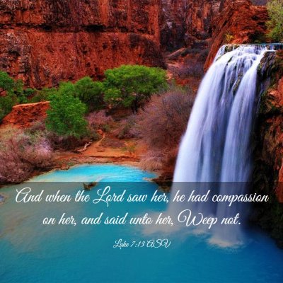Picture 03 - Luke 7:13 ASV - And when the Lord saw her, he had compassion on - Bible Verse Picture