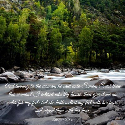 Picture 03 - Luke 7:44 ASV - And turning to the woman, he said unto Simon, - Bible Verse Picture