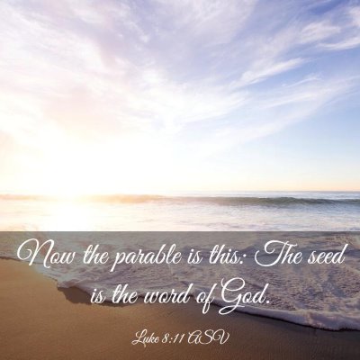 Picture 03 - Luke 8:11 ASV - Now the parable is this: The seed is the word of - Bible Verse Picture