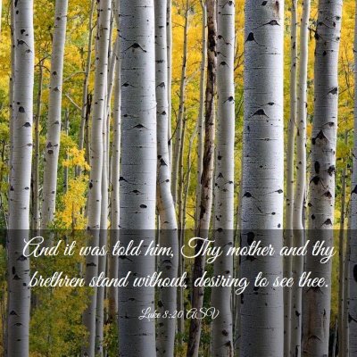 Picture 03 - Luke 8:20 ASV - And it was told him, Thy mother and thy brethren - Bible Verse Picture