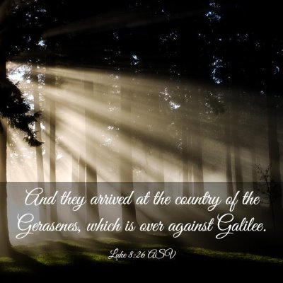 Picture 03 - Luke 8:26 ASV - And they arrived at the country of the Gerasenes, - Bible Verse Picture