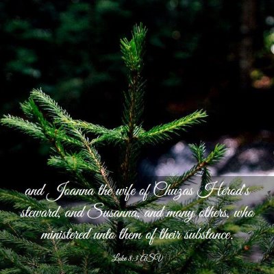 Picture 03 - Luke 8:3 ASV - and Joanna the wife of Chuzas Herod's steward, - Bible Verse Picture