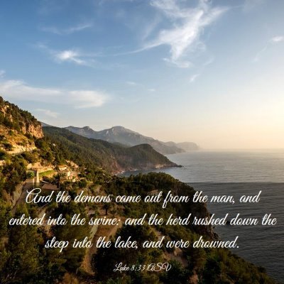 Picture 03 - Luke 8:33 ASV - And the demons came out from the man, and entered - Bible Verse Picture