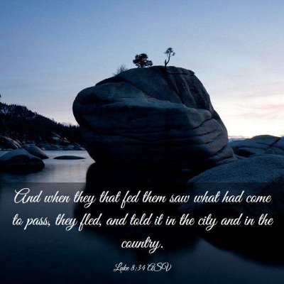 Picture 03 - Luke 8:34 ASV - And when they that fed them saw what had come to - Bible Verse Picture