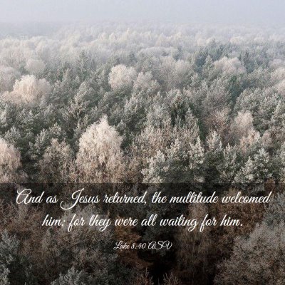 Picture 03 - Luke 8:40 ASV - And as Jesus returned, the multitude welcomed - Bible Verse Picture