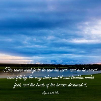 Picture 03 - Luke 8:5 ASV - The sower went forth to sow his seed: and as he - Bible Verse Picture