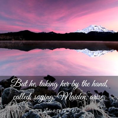 Picture 03 - Luke 8:54 ASV - But he, taking her by the hand, called, saying, - Bible Verse Picture