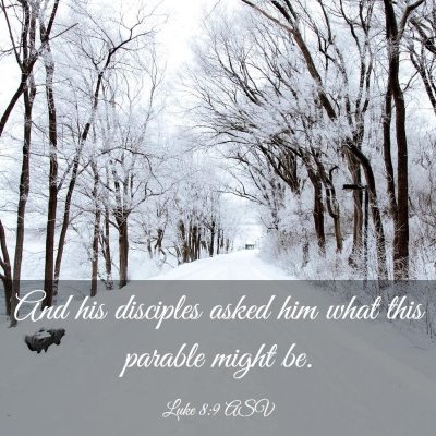 Picture 03 - Luke 8:9 ASV - And his disciples asked him what this parable - Bible Verse Picture