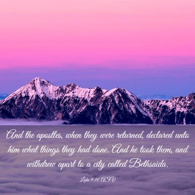 Picture 03 - Luke 9:10 ASV - And the apostles, when they were returned, - Bible Verse Picture