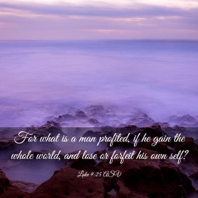 Picture 03 - Luke 9:25 ASV - For what is a man profited, if he gain the whole - Bible Verse Picture