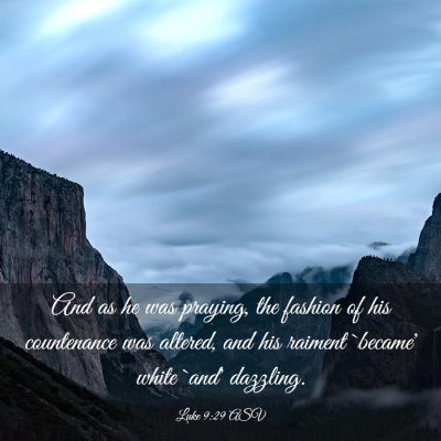 Picture 03 - Luke 9:29 ASV - And as he was praying, the fashion of his - Bible Verse Picture