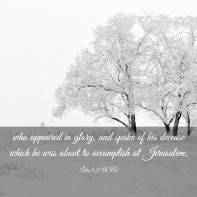 Picture 03 - Luke 9:31 ASV - who appeared in glory, and spake of his decease - Bible Verse Picture