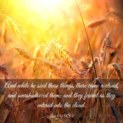 Picture 03 - Luke 9:34 ASV - And while he said these things, there came a - Bible Verse Picture