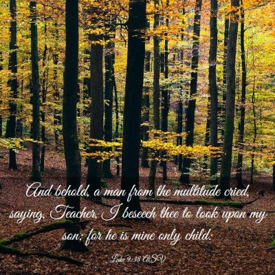 Picture 03 - Luke 9:38 ASV - And behold, a man from the multitude cried, - Bible Verse Picture