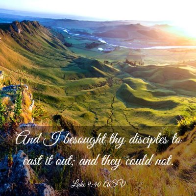 Picture 03 - Luke 9:40 ASV - And I besought thy disciples to cast it out; and - Bible Verse Picture