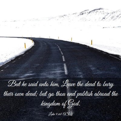 Picture 03 - Luke 9:60 ASV - But he said unto him, Leave the dead to bury - Bible Verse Picture