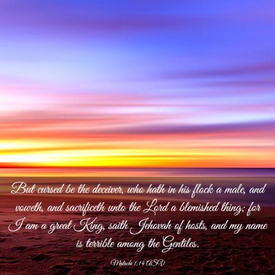 Picture 03 - Malachi 1:14 ASV - But cursed be the deceiver, who hath in his flock - Bible Verse Picture