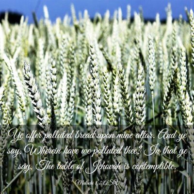 Picture 03 - Malachi 1:7 ASV - Ye offer polluted bread upon mine altar. And ye - Bible Verse Picture