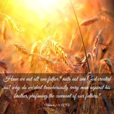 Picture 03 - Malachi 2:10 ASV - Have we not all one father? hath not one God - Bible Verse Picture
