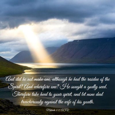 Picture 03 - Malachi 2:15 ASV - And did he not make one, although he had the - Bible Verse Picture
