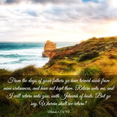 Picture 03 - Malachi 3:7 ASV - From the days of your fathers ye have turned - Bible Verse Picture