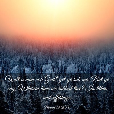 Picture 03 - Malachi 3:8 ASV - Will a man rob God? yet ye rob me. But ye say, - Bible Verse Picture
