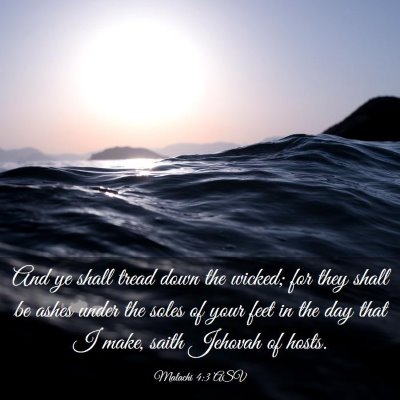 Picture 03 - Malachi 4:3 ASV - And ye shall tread down the wicked; for they - Bible Verse Picture