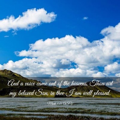 Picture 03 - Mark 1:11 ASV - And a voice came out of the heavens, Thou art my - Bible Verse Picture