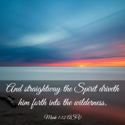 Picture 03 - Mark 1:12 ASV - And straightway the Spirit driveth him forth into - Bible Verse Picture