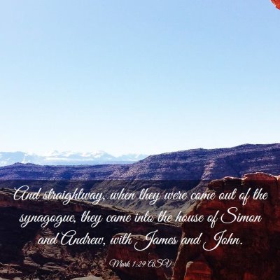 Picture 03 - Mark 1:29 ASV - And straightway, when they were come out of the - Bible Verse Picture